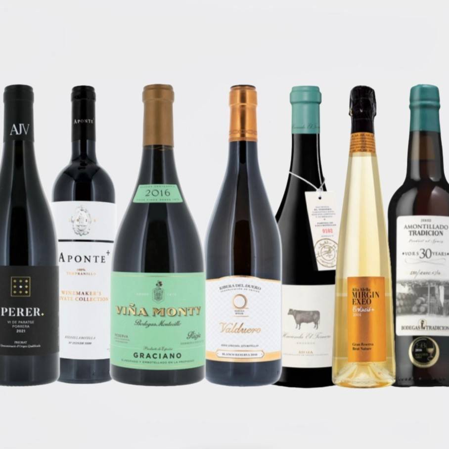 Seven Spanish Wines Included in Decanter World Wine Awards 2024 Best in Show