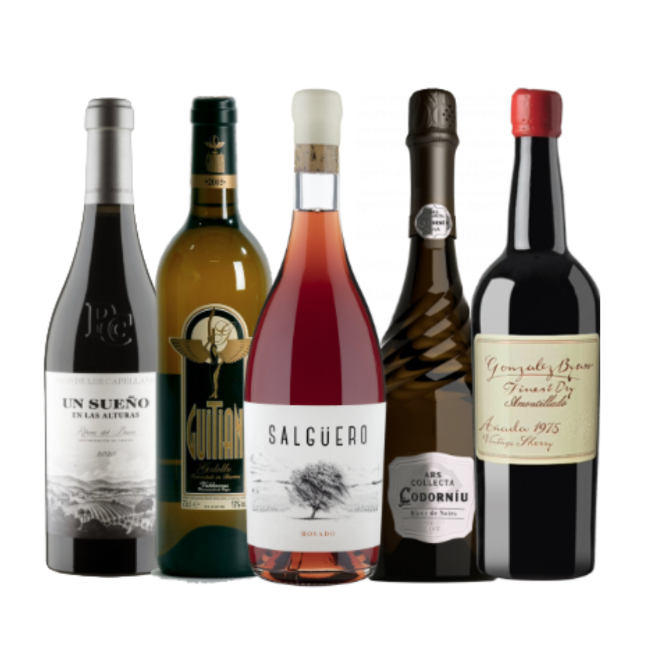 Alimentos de España Names Spain’s Top Wines for 2024, a Celebration of Diversity