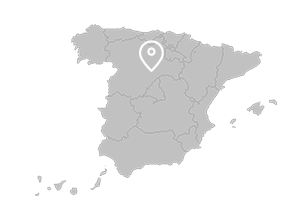 Zamora (Castile-Leon)