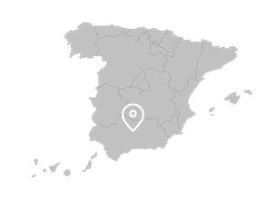 Baena (Andalusia) Baena (Andalusia)