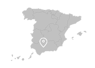 Estepa (Andalusia)