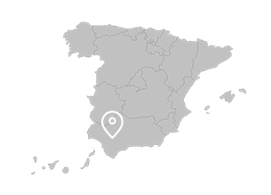 Tomares (Andalusia)