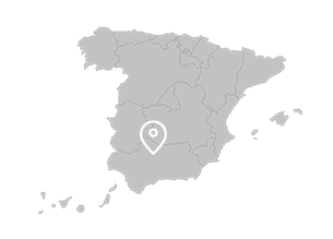 Montilla (Andalusia) Montilla (Andalusia)