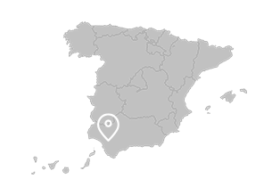 Lebrija (Andalusia) Lebrija (Andalusia)