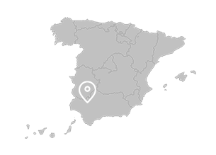 Sanlúcar la Mayor (Andalusia)