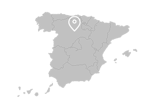 Roa (Castile-Leon)