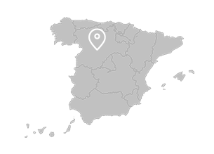 Toro (Castile-Leon) Toro (Castile-Leon)