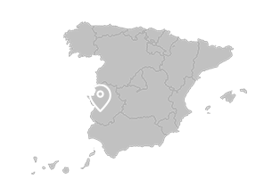 Almendralejo (Extremadura) Almendralejo (Extremadura)