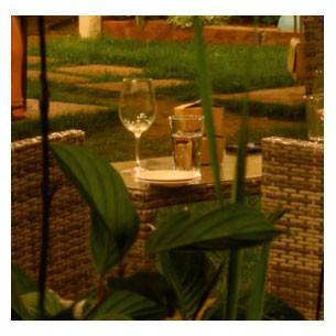 Tempranillo  Tempranillo