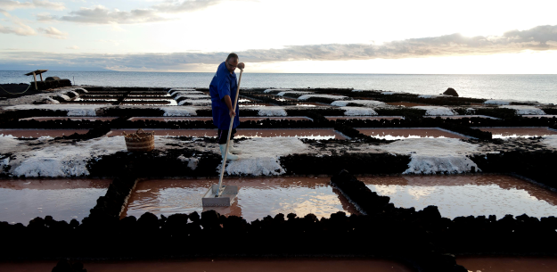 A Harvest of Salt from the Canaries