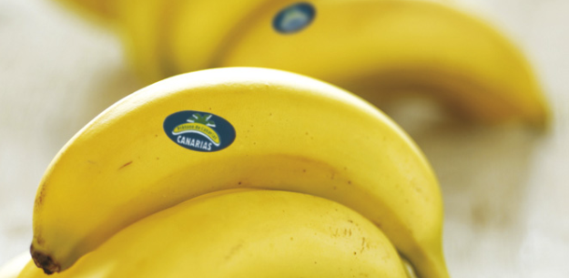 Plátano de Canarias, Stronghold of Flavor