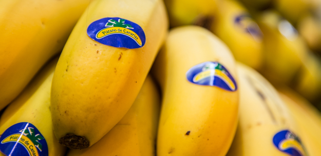 Plátano de Canarias, Stronghold of Flavor