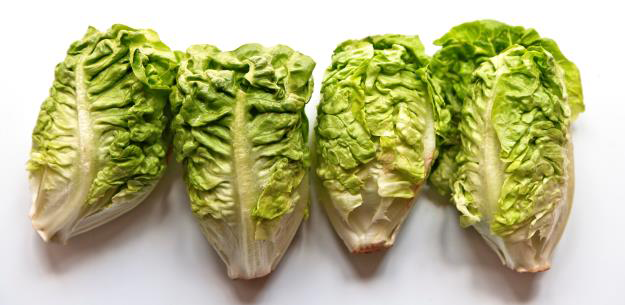To The Heart of Spanish Lettuce