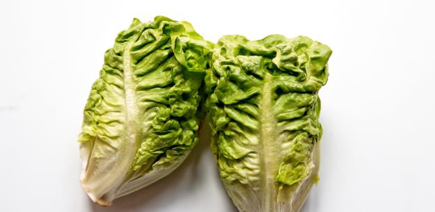 To The Heart of Spanish Lettuce