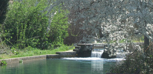 Organic Aquaculture