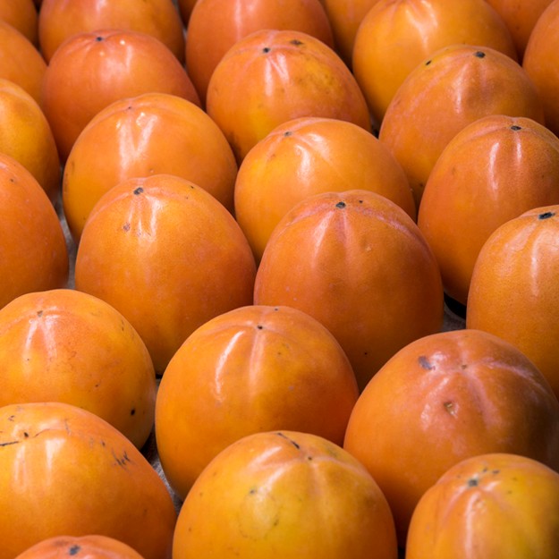 Spanish Persimmons: the Sweetest Things!