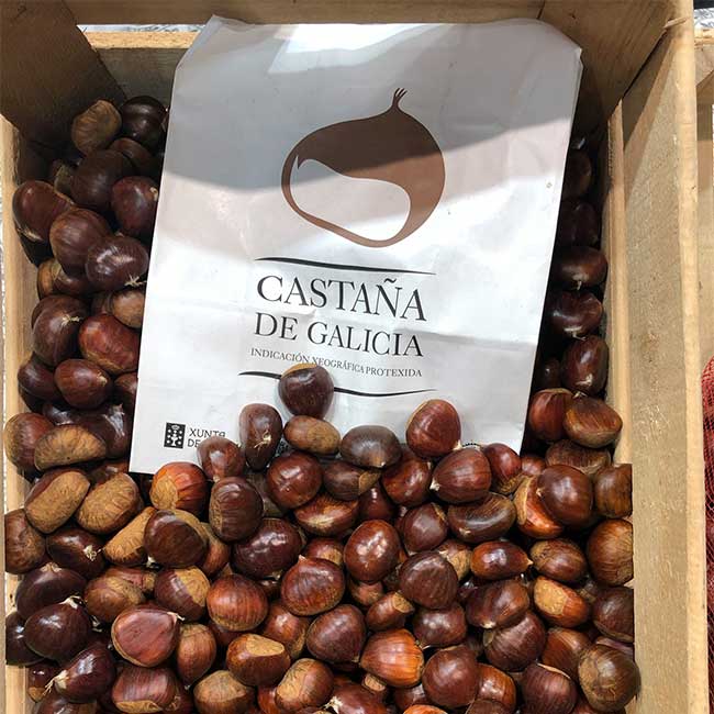 Spanish chestnuts. Photo by: IGP Castaña de Galicia