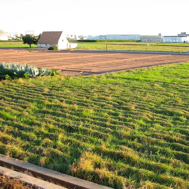 Spain’s Globally Important Agricultural Heritage System: L’Horta in Valencia