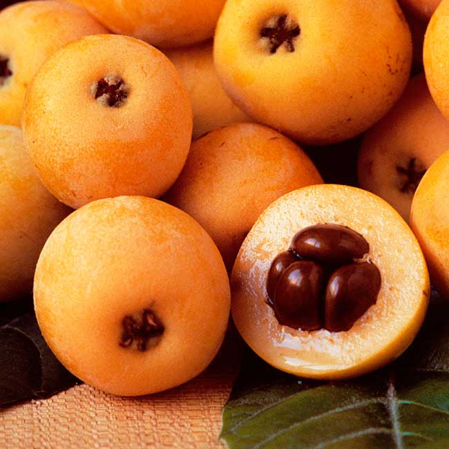 Spanish loquats. Photo by: @ICEX