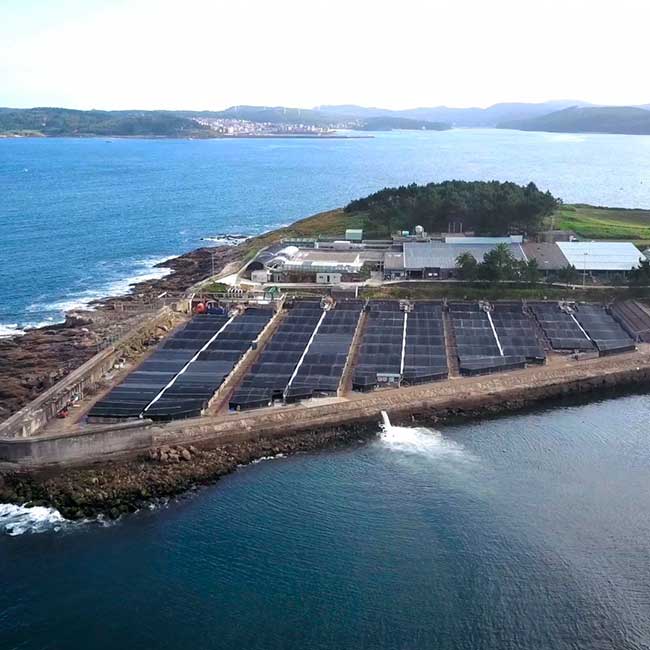 Spanish aquaculture. Stolt Sea Farm facilities in Galicia