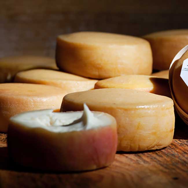 Tortas cheeses from Spain. Photo: DOP Torta del Casar