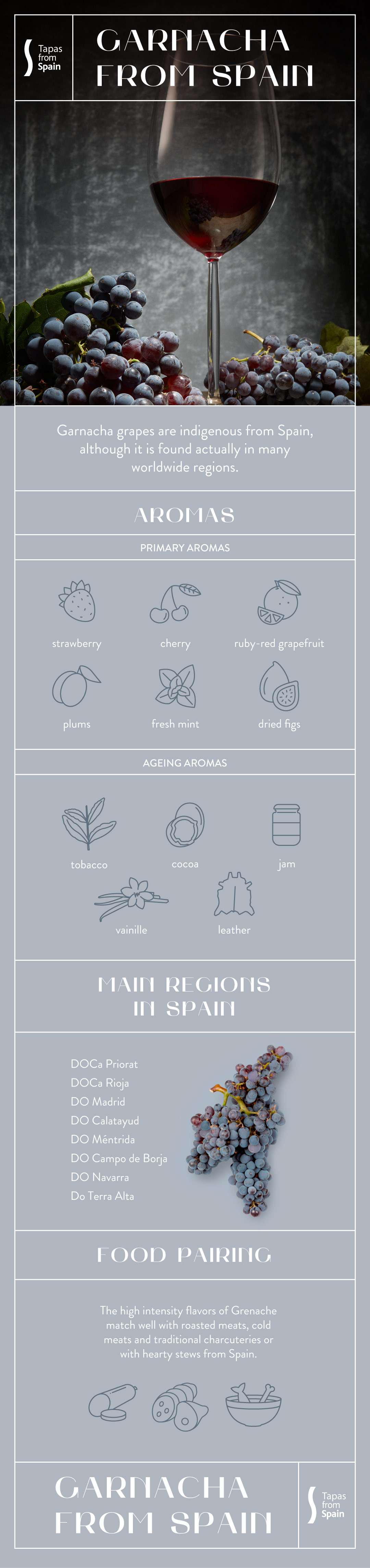 Infographics Garnacha