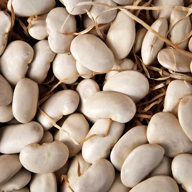 Large beans. Photo:@ICEX/Pablo Neustadt