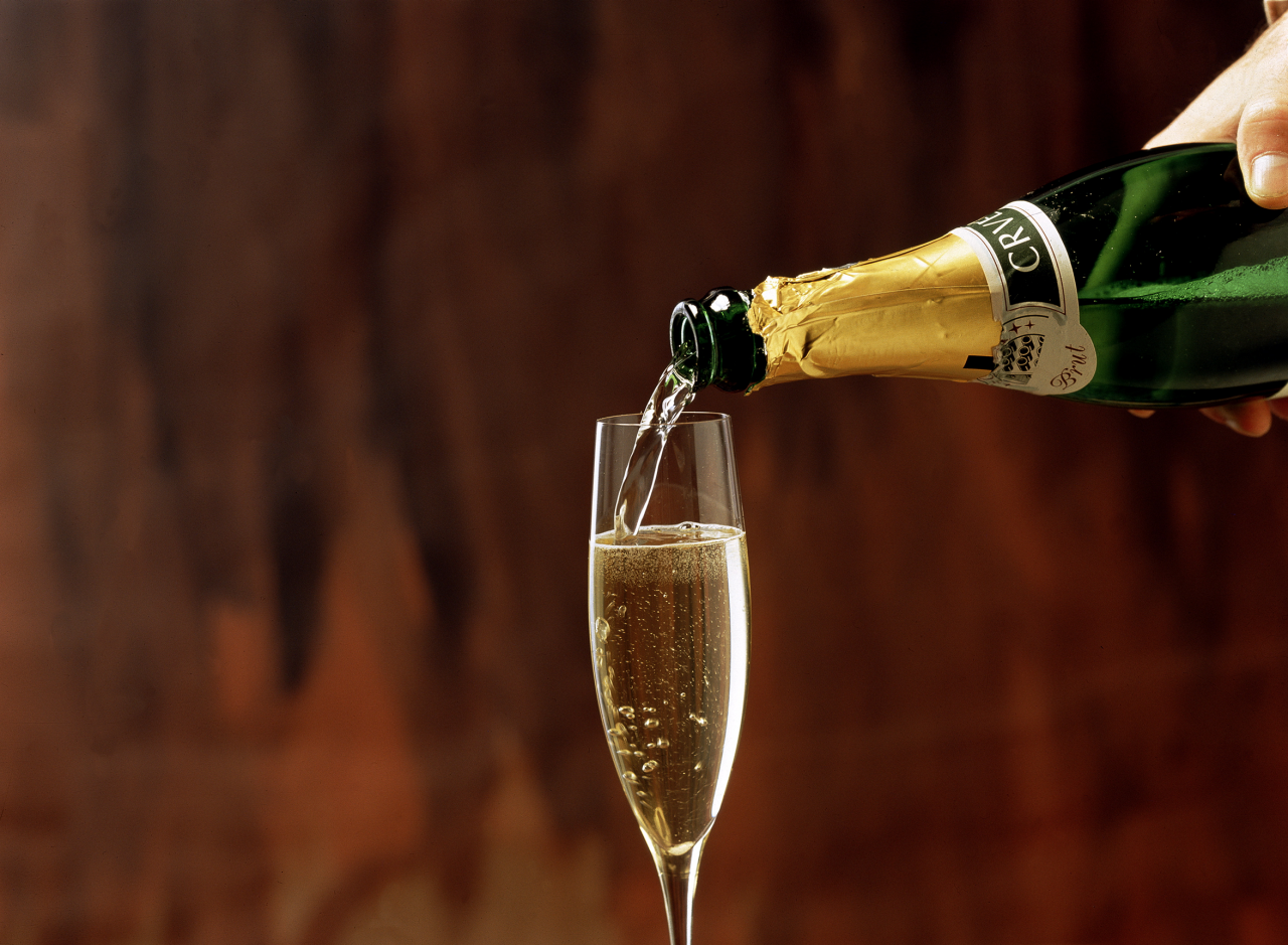 elevate your holiday