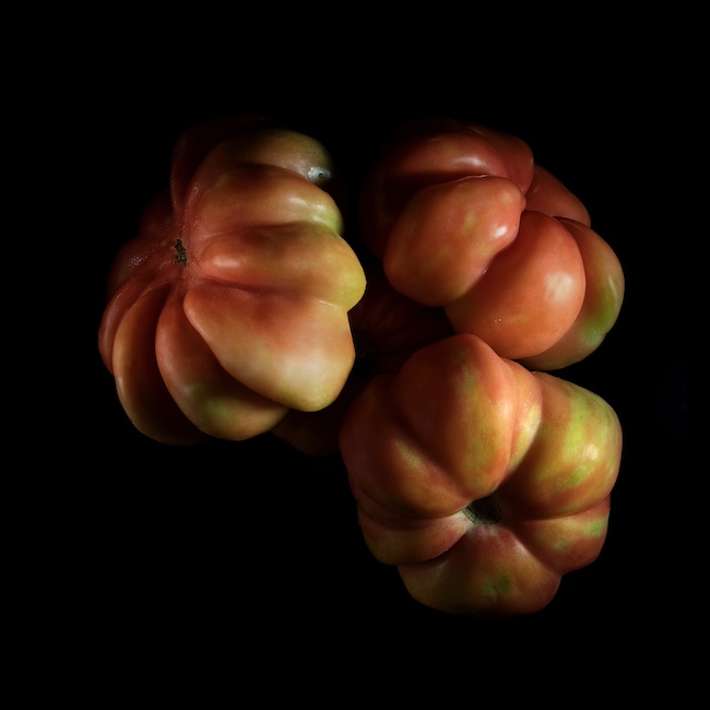 Still life of Monserrat tomato