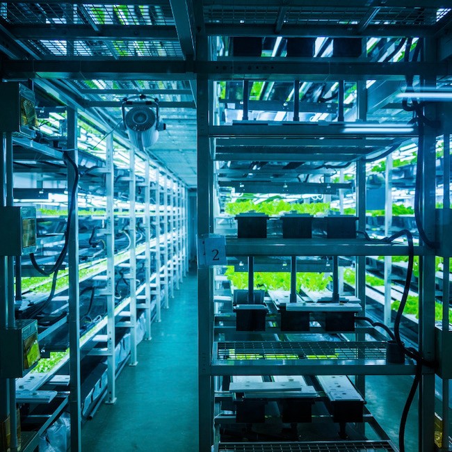 Vertical farming allows for fresher products