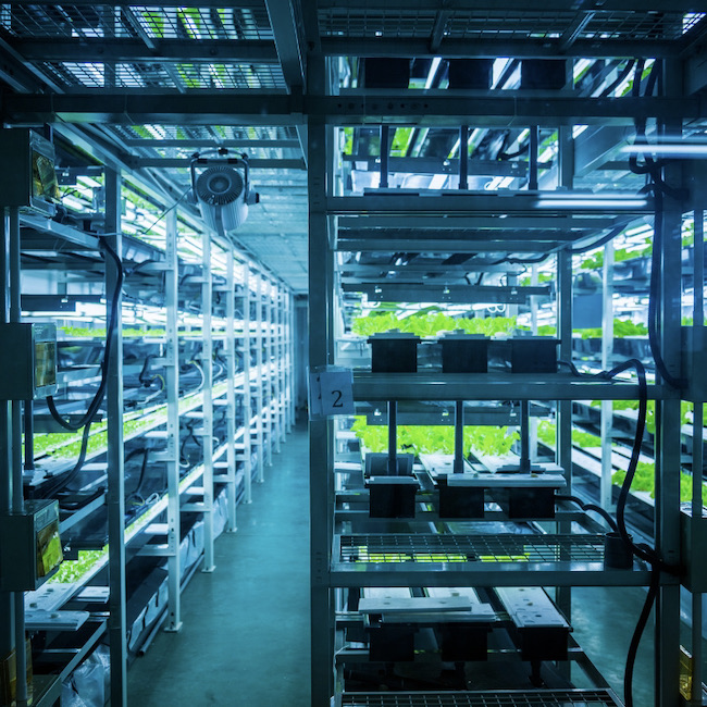 Vertical farming allows for fresher products