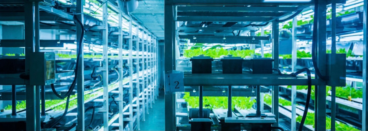 Vertical farming