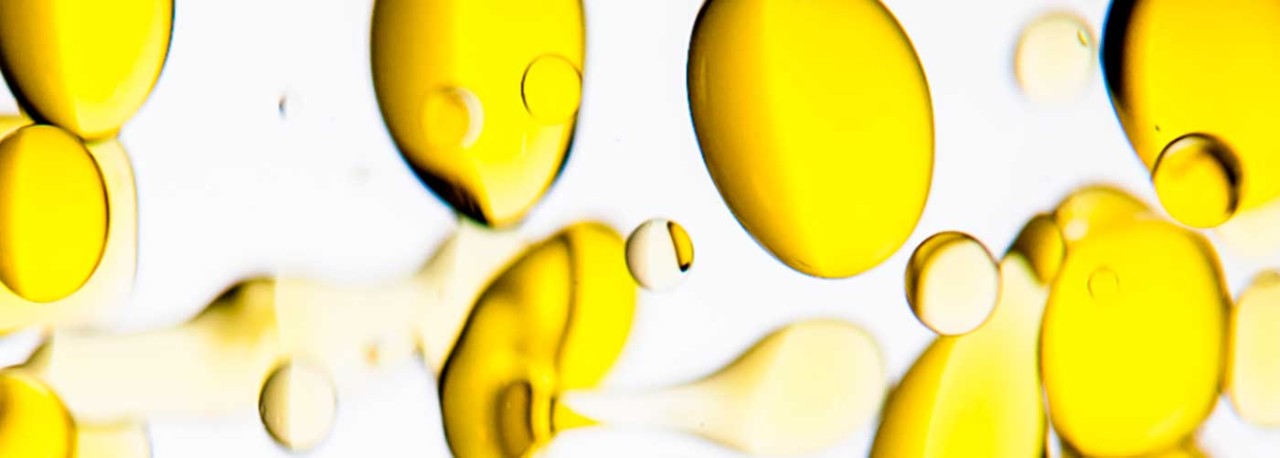 Spanish olive oil