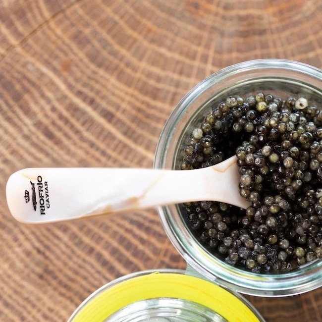 Caviar Riofrío Sturgeon