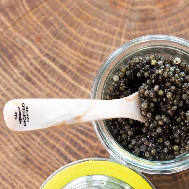 Caviar Riofrío Sturgeon