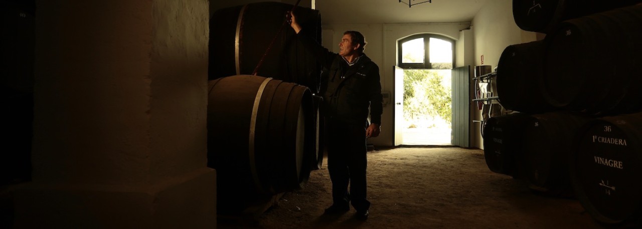 Sherry Vinegar is produced in Jerez wineries