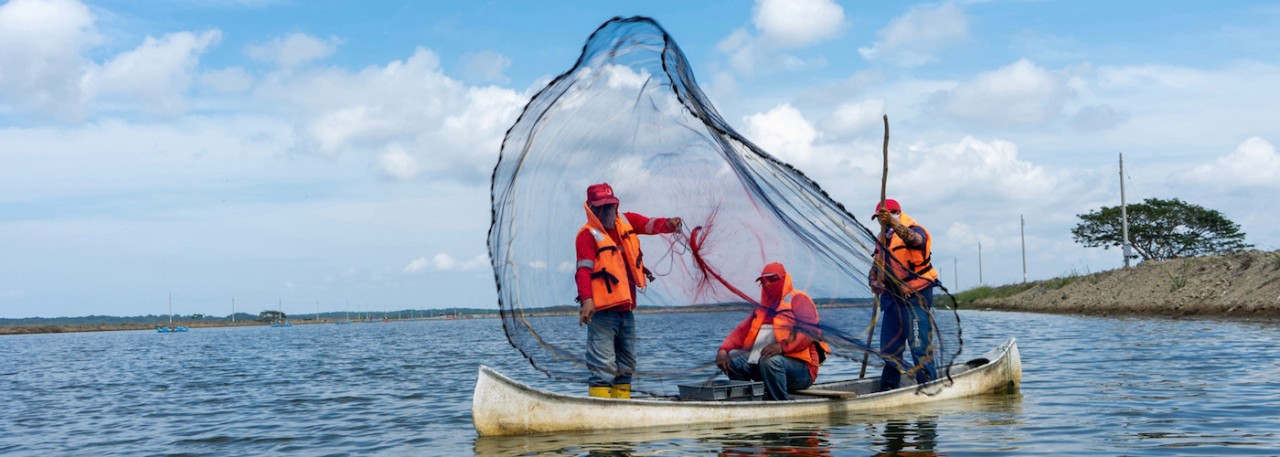 Nueva Pescanova Fishing Techniques