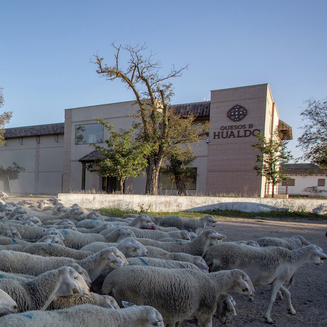 Quesos de Hualdo factory