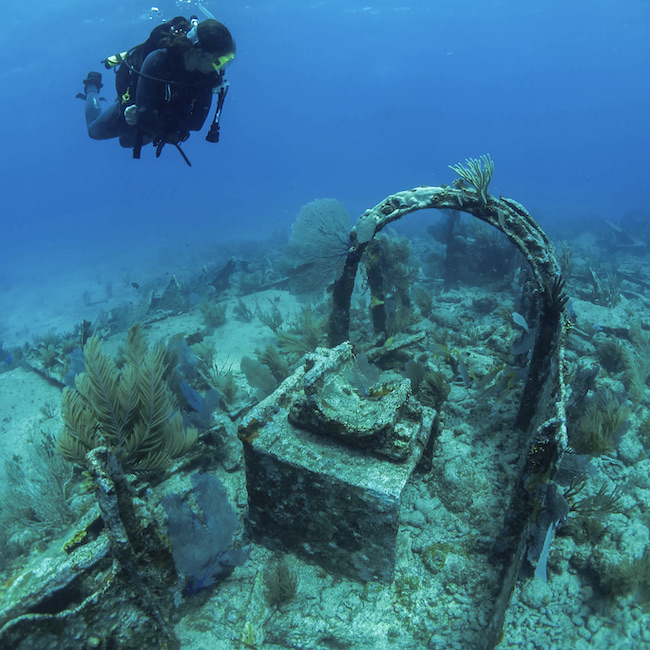 Indiana University (https://underwaterscience.indiana.edu/)