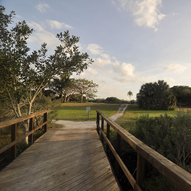 Florida Museum (https://www.floridamuseum.ufl.edu/)