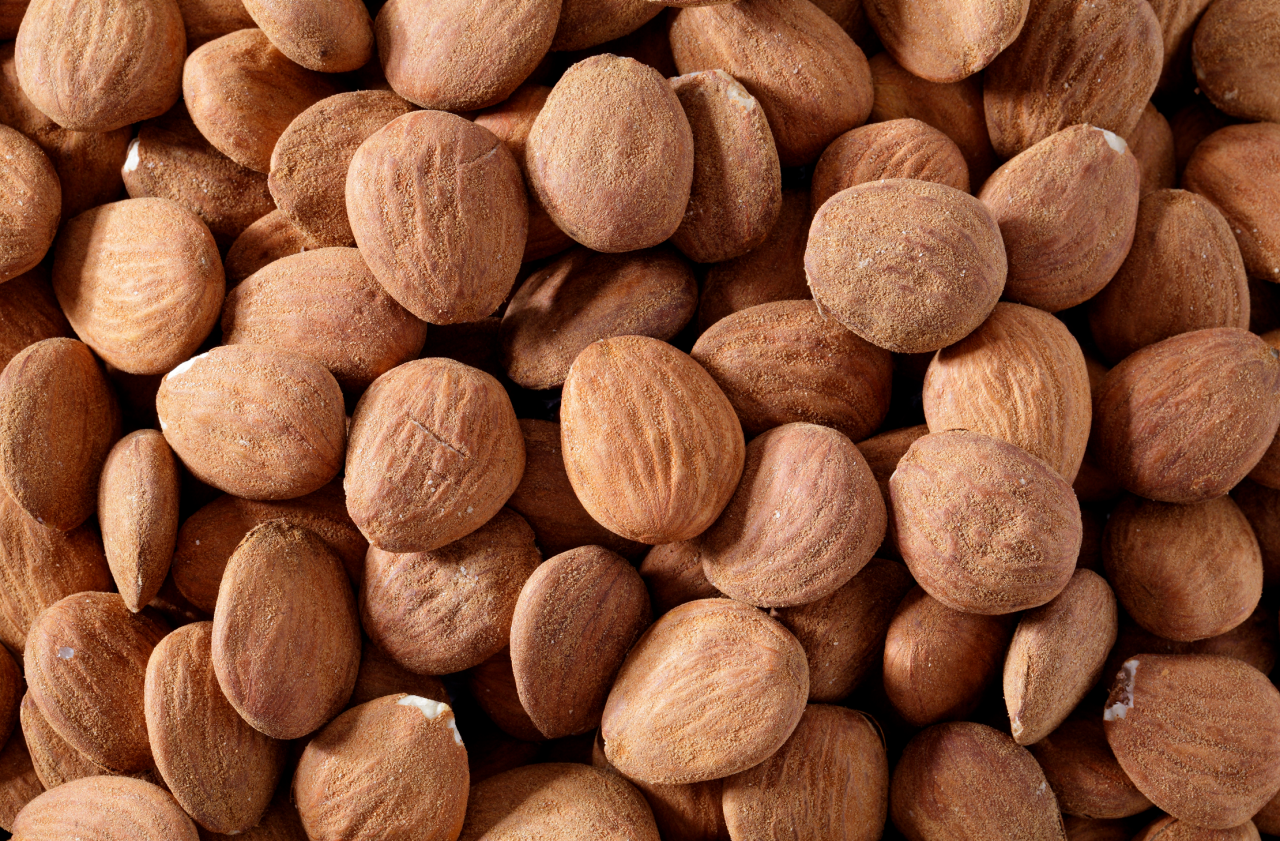 elevate your holiday