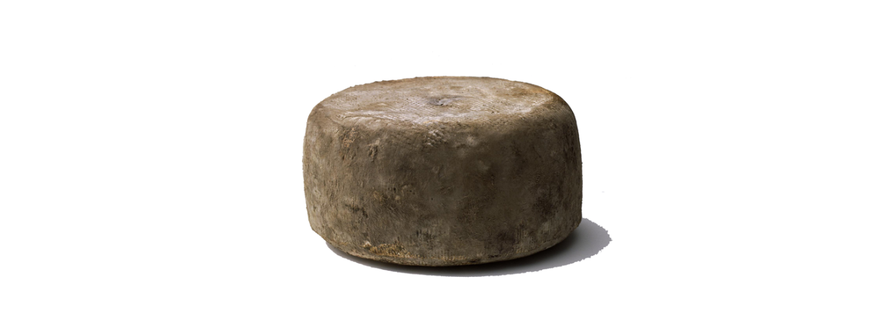 Garrotxa cheese