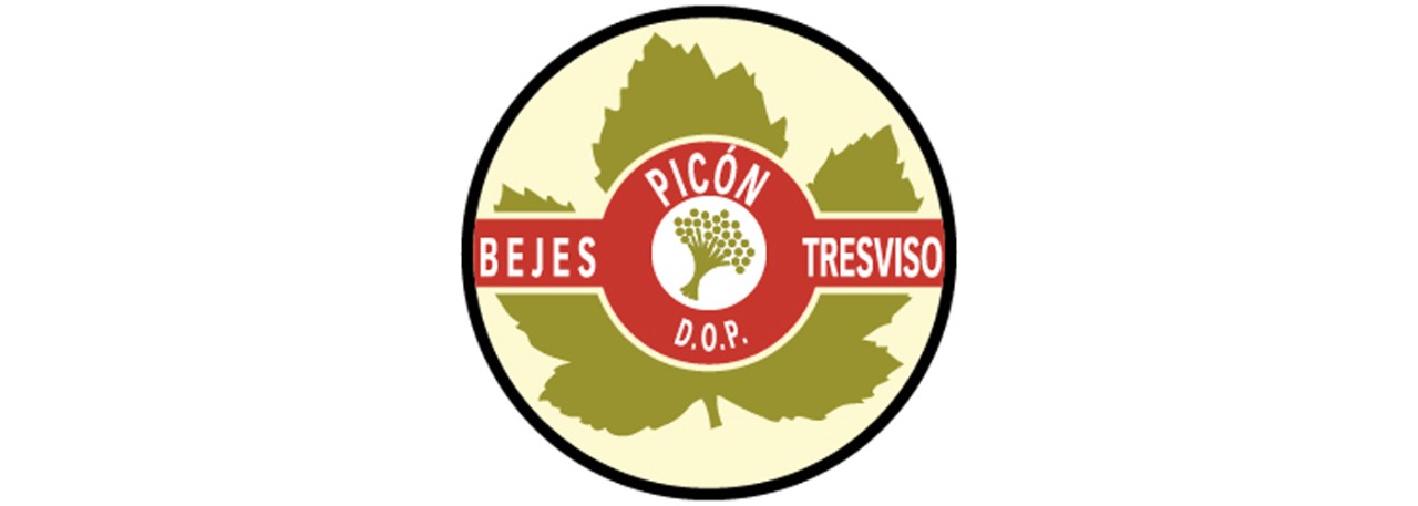 PDO Picon Bejes-Tresviso