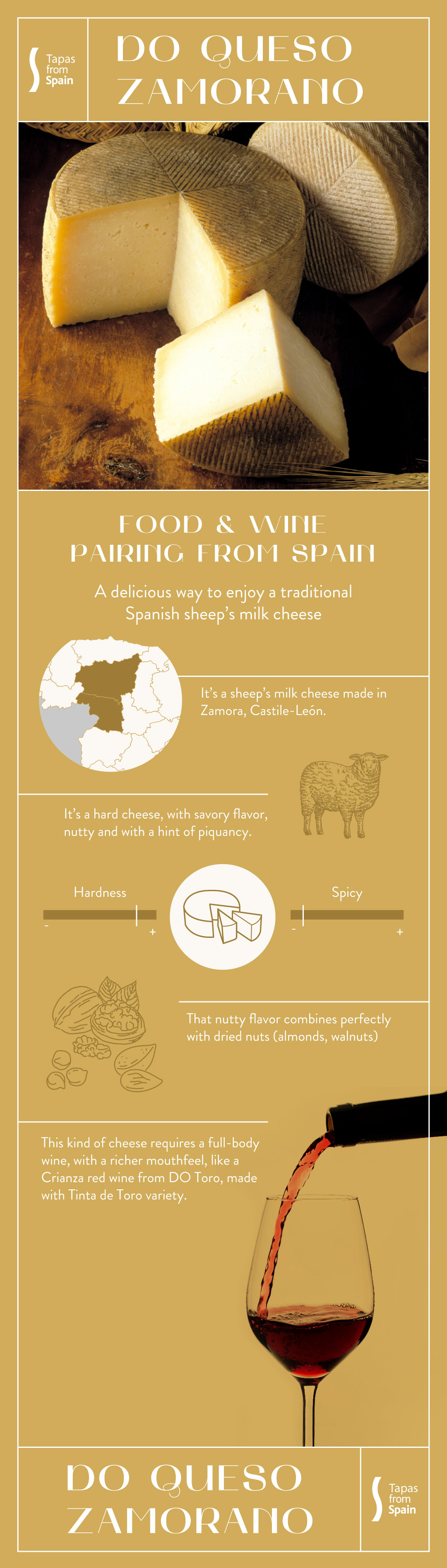 Infographics Queso Zamorano