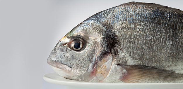 Spanish farmed fish