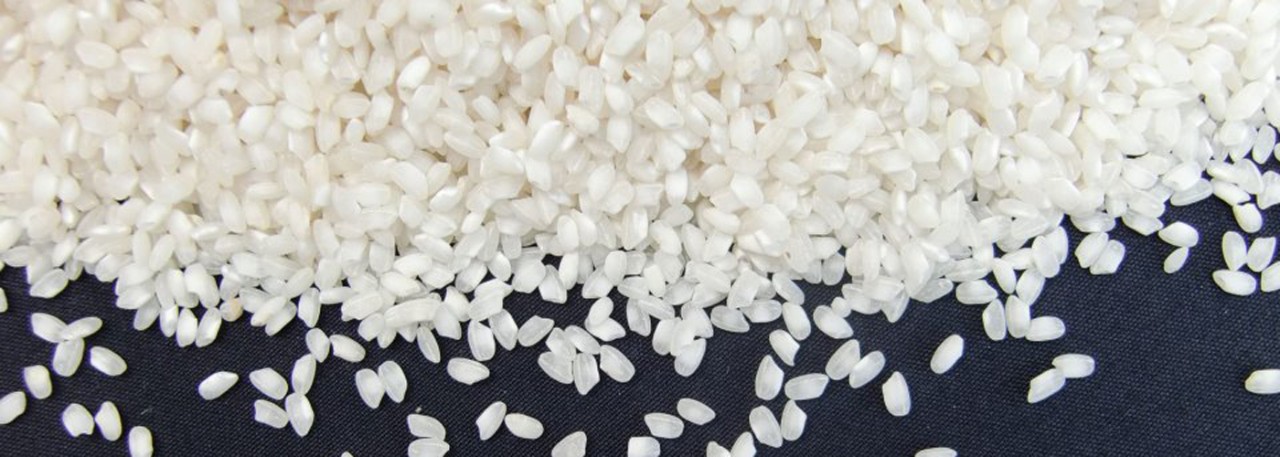 PDO Arroz de Valencia