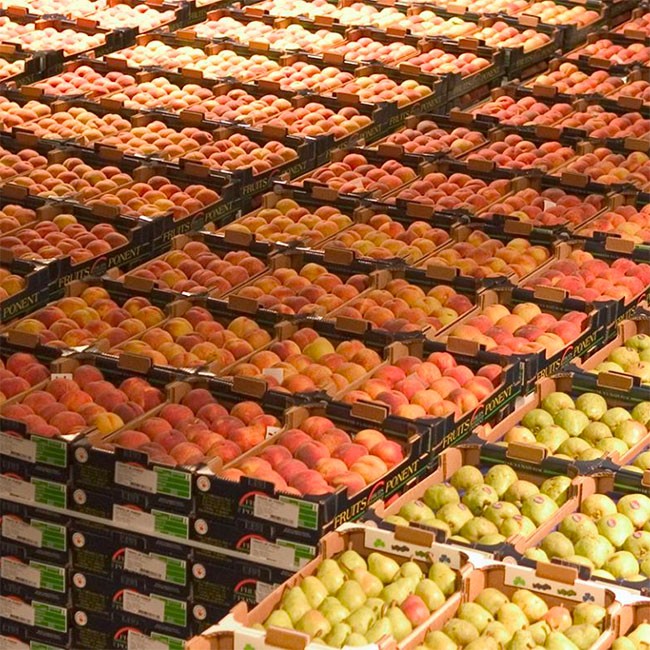 Sustainable best practices by Spanish food & beverage companies: Fruits de Ponent