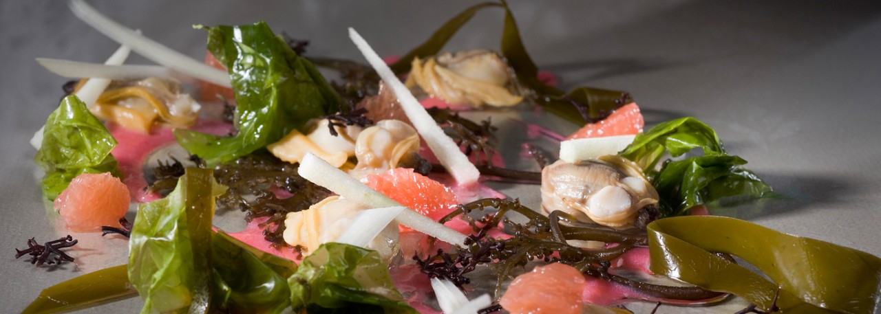 Spanish recipe: Clams in seaweed steam with essence of pink grapefruit and curled cardoon. Photo by: Toya Legido/©ICEX.