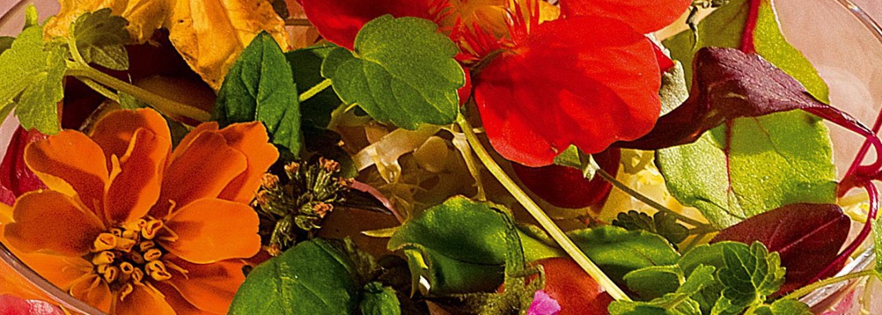 Spanish recipe: Herb salad with Queso Tetilla and tomato nectar, on aromatic earth. Photo by: Toya Legido/©ICEX.