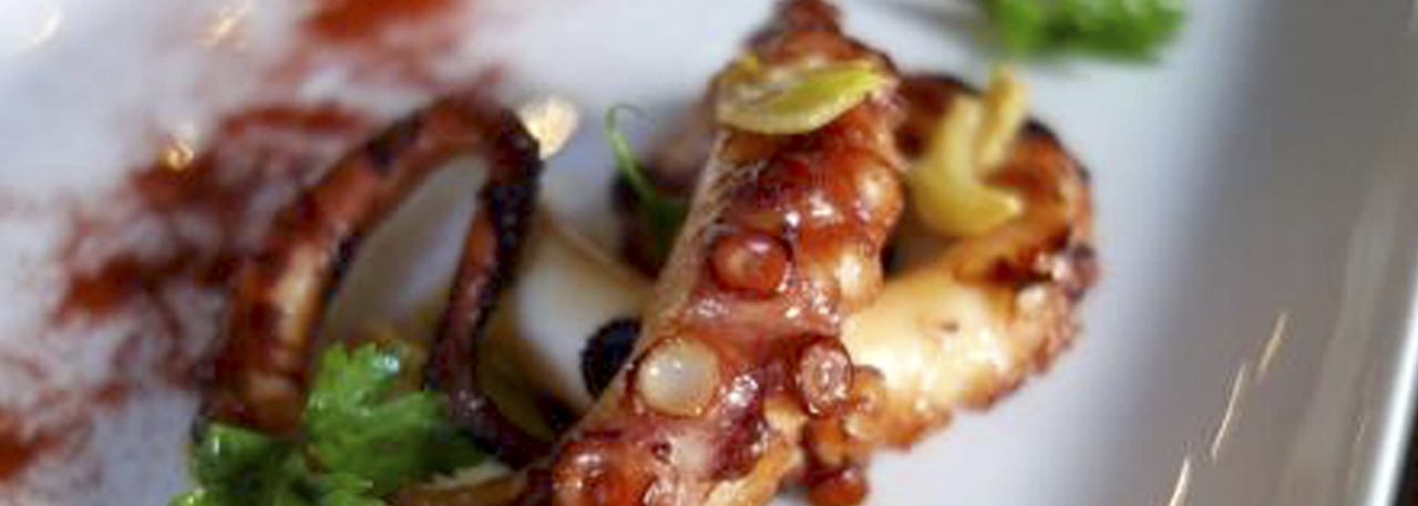 Super Tender grillled octopus - IMG